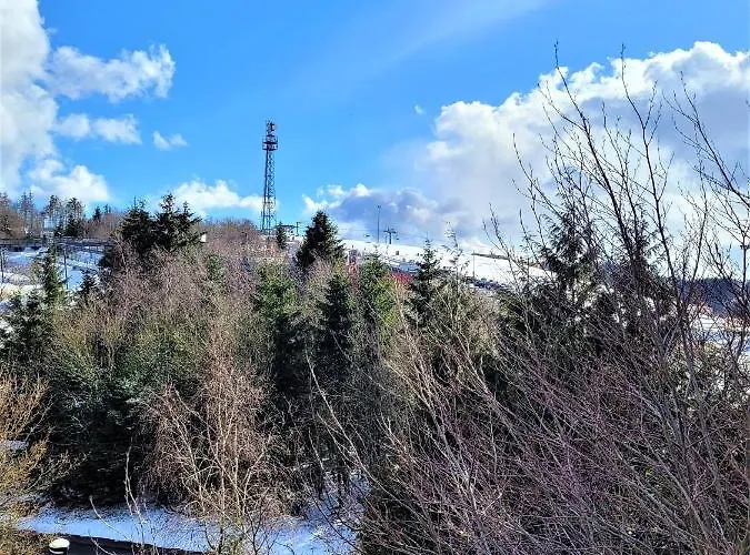 21122 Apartment Winterberg